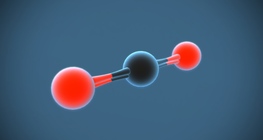 Carbon dioxide (CO₂) (intermediate)