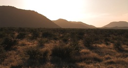 แอ่งคาลาฮารี