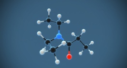 N,N-diethyl propanamide (C₇H₁₅NO)