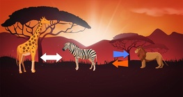 การล่าเหยื่อ