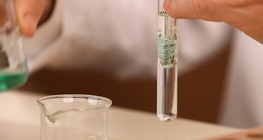 ผลของน้ำดีต่อการกระจายตัวของไขมัน