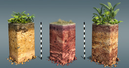 ประเภทของดิน(ข้อมูลของดิน)