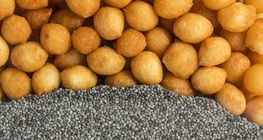 คุณสมบัติของสสาร: มวล ปริมาตร และความหนาแน่น