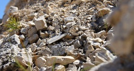 กระบวนการผุกร่อนทางกายภาพและทางเคมี