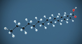 Palmitic acid (hexadecanoic acid) (C₁₅H₃₁COOH)