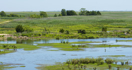 ทะเลสาบหายไปได้อย่างไร
