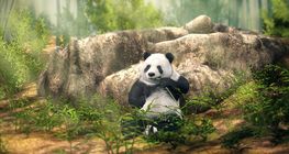 แพนด้ายักษ์