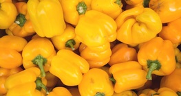 พริกหยวก