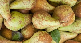 ลูกแพร์