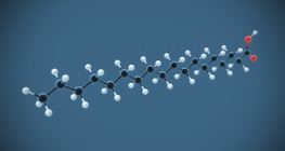 Stearic acid (octadecanoic acid) (C₁₇H₃₅COOH)