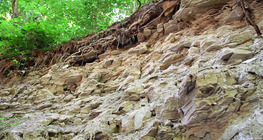 เมืองปอมเปอีในกาลก่อน