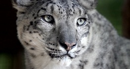 ความอดทน