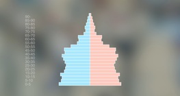 พีระมิดประชากร