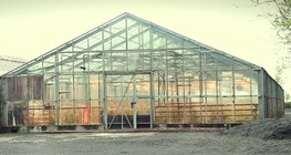 ภาวะเรือนกระจก