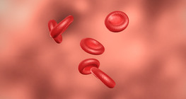 The human blood