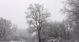 สี่ฤดูกาล