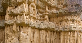 ยุคตติยภูมิ