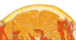 เปลือกส้มลุกไหม้