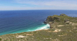 โลกแห่งท้องทะเล