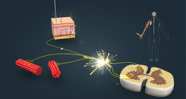 The withdrawal reflex