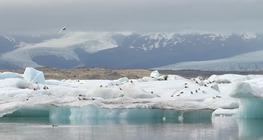 การก่อตัวของธารน้ำแข็ง