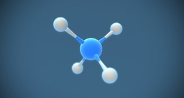 Ammonium ion (NH₄⁺)