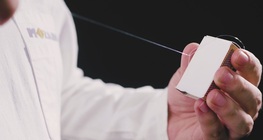 ไวโอลินกบ