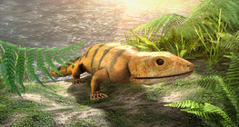 อิกธิโอสเตกา