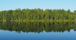 ทะเลสาบสแกนดิเนเวีย