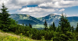 เขตอนุรักษ์ธรรมชาติ