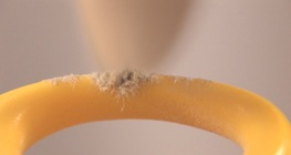 เป่า-ยิ้ง-ฉุบ