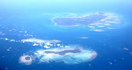 วอลเลซไลน์