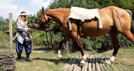 นักแข่งแบบดั้งเดิม