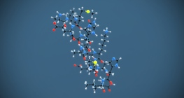 The secondary structure of proteins