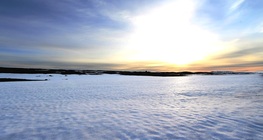 ภูมิอากาศกึ่งอาร์กติก