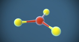 Boron trifluoride (BF₃)