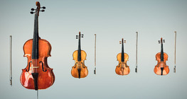 วงสตริงควอเต็ต