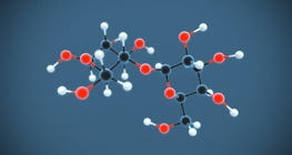 Lactose (C₁₂H₂₂O₁₁)