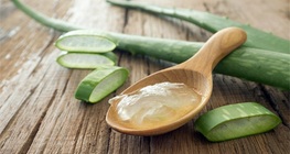 ว่านหางจระเข้