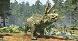 Triceratops