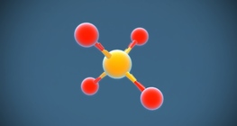 Phosphate ion (PO₄³⁻)