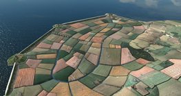 Land reclamation in the Netherlands, 17th century