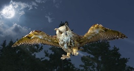 Eurasian eagle-owl