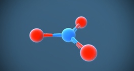 Nitrate ion (NO₃⁻)
