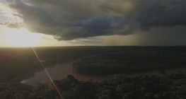 ระบบแม่น้ำของอเมซอน