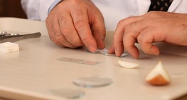 การตรวจสอบพลาสโมไลซิส