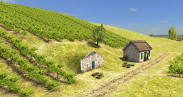 พื้นที่ทำไวน์