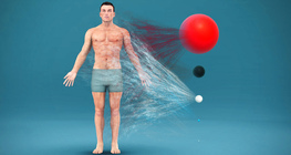 ร่างกายของมนุษย์ประกอบด้วยอะไรบ้าง?