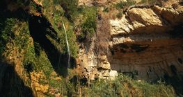 โอเอซิส