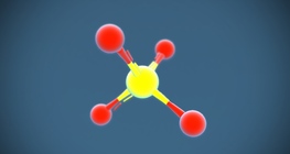 Sulphate ion (SO₄²⁻)